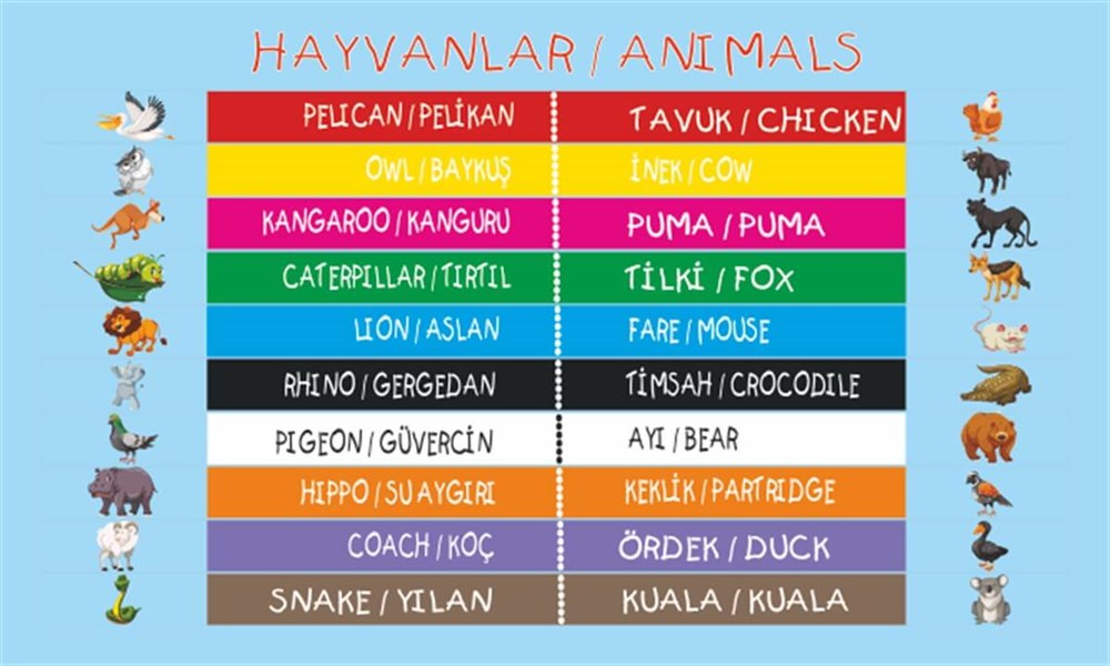 İngilizce Hayvanlar Afiş