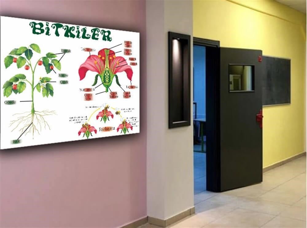 Bitkinin ve Çiçeğin Kısımları Poster Fen Bilimleri Sokağı