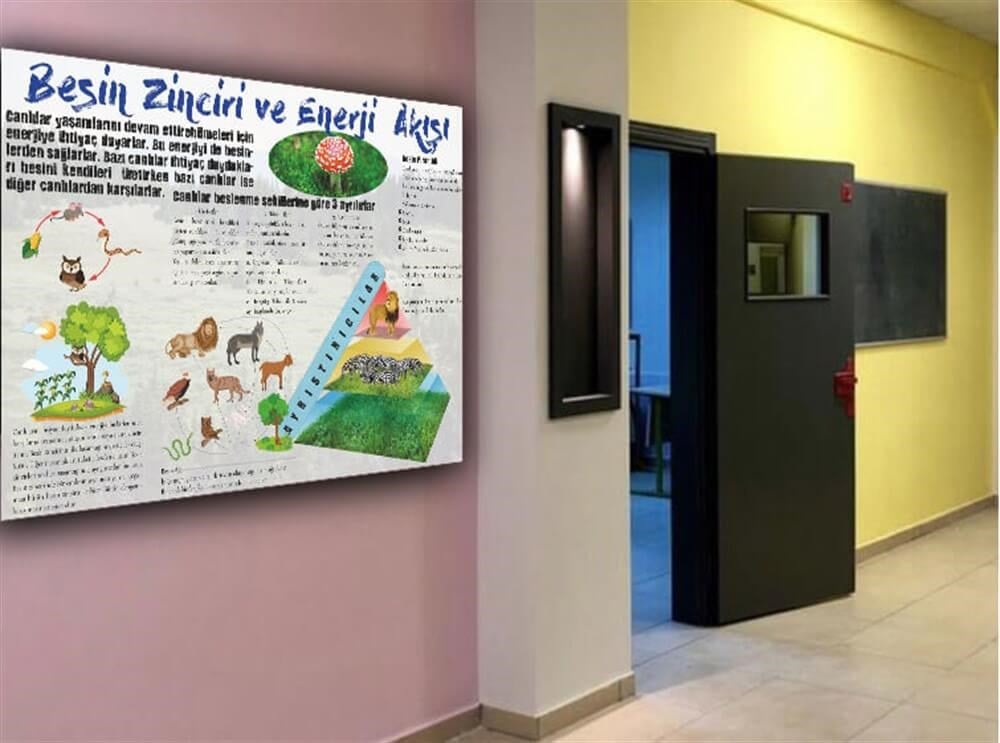 Besin Zinciri ve Enerji Akışı Poster Fen Bilimleri Sokağı