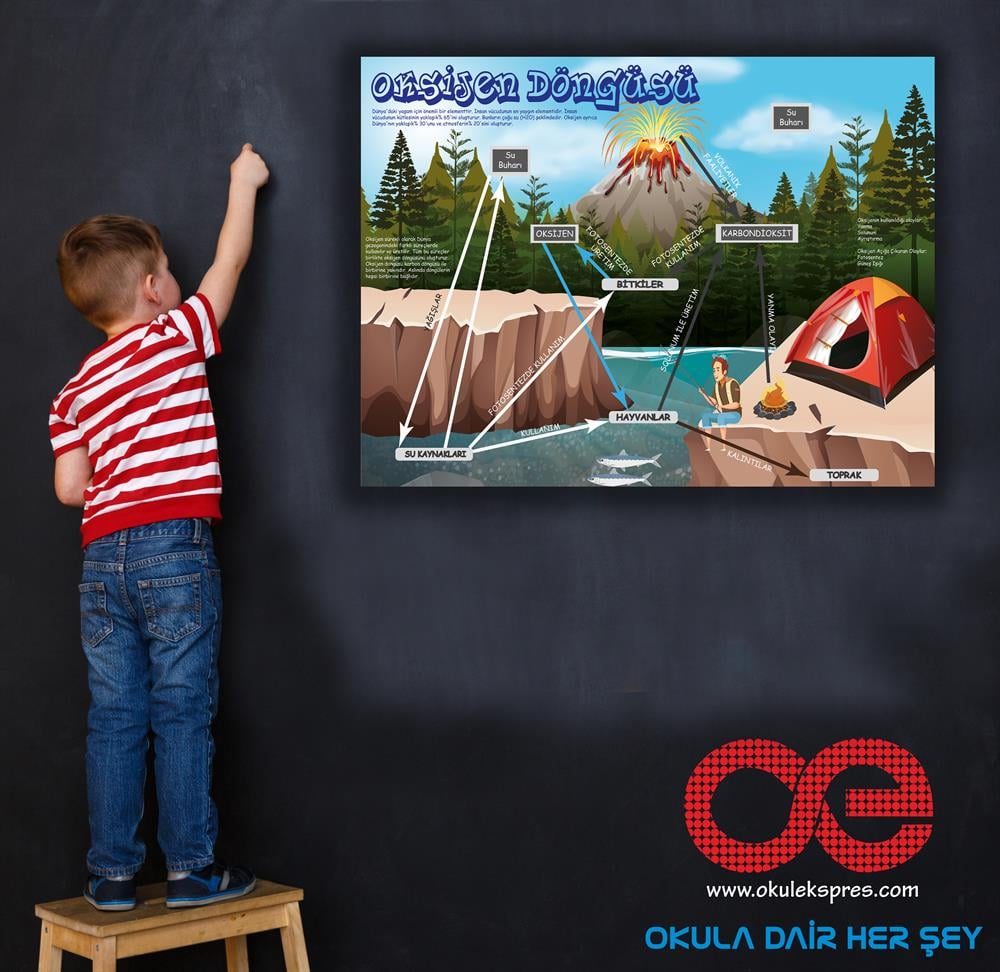 Oksijen Döngüsü Afiş Poster