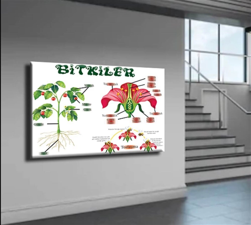 Bitkiler Afiş