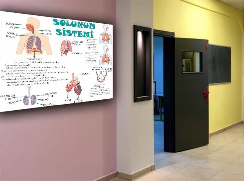 Solunum Sistemi Poster Fen Bilimleri Sokağı