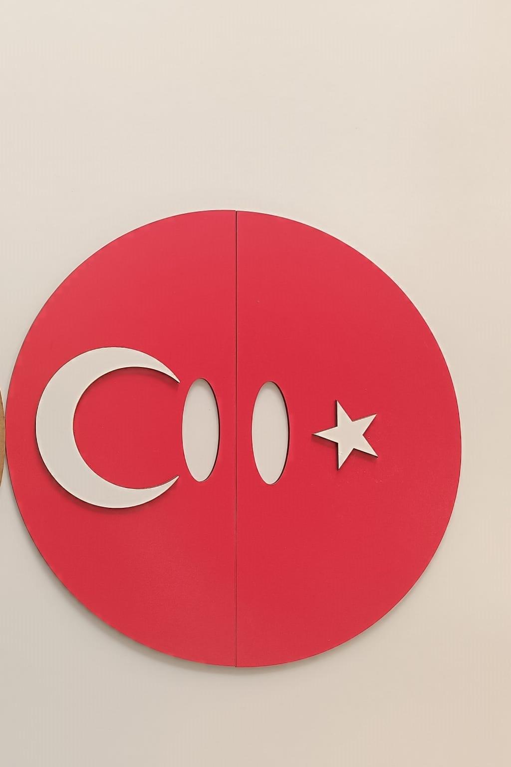 Okulekspres Gösteri Plakası Büyük Boy Gösteri ve Etkinlikler İçin Türk Bayrağı Temalı El Gösteri Plakası – 50 x 50 cm | Yetişkinler İçin 23 Nisan, 19 Mayıs, Tüm Milli Bayramlar İçin Uygun 