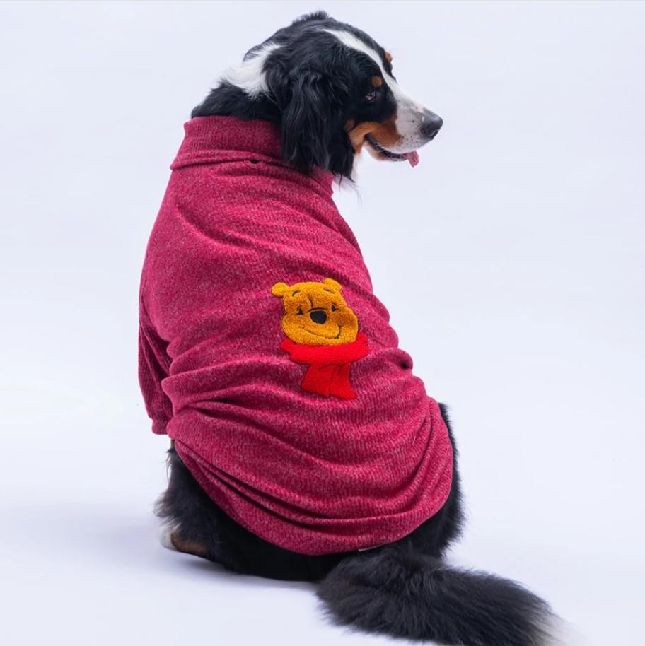 Pawstar Bordo Poohs Ashdown Winnie Orta ve Büyük Irk Köpek Kazağı