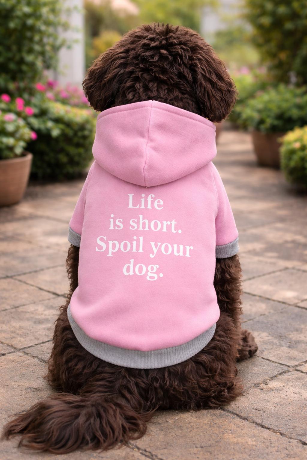 Alphadog Pale Pink Polarlı Küçük Irk Köpek Sweatshirtü
