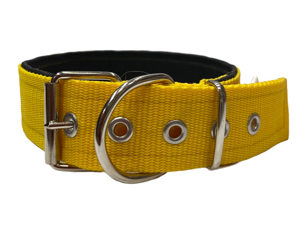 Sarı Köpek Boyun Tasması 4 cm x 50-65 cm