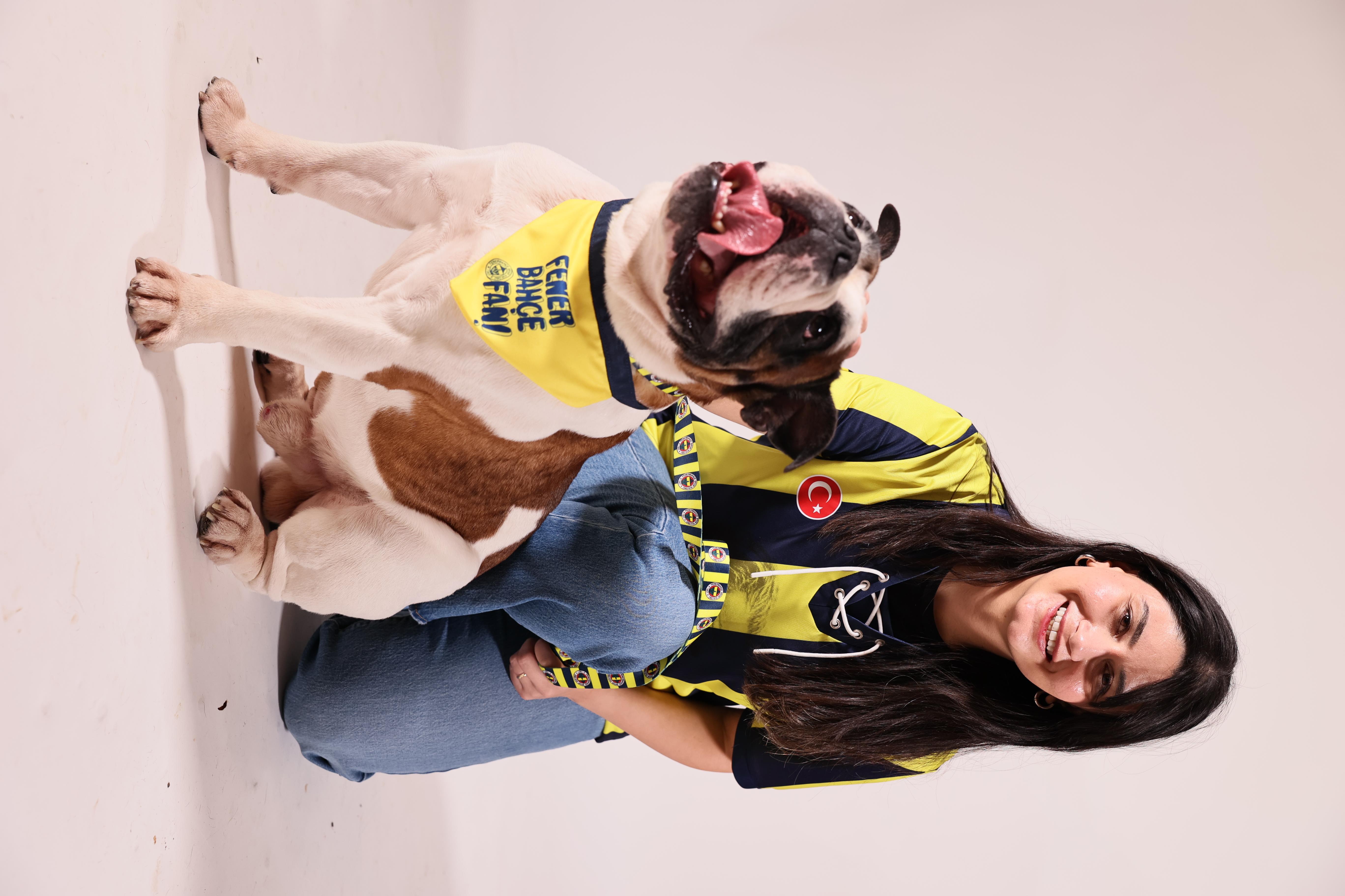 Fenerbahçe Fan! Köpek Bandanası Sarı L (Fenerbahçe Lisanslı)