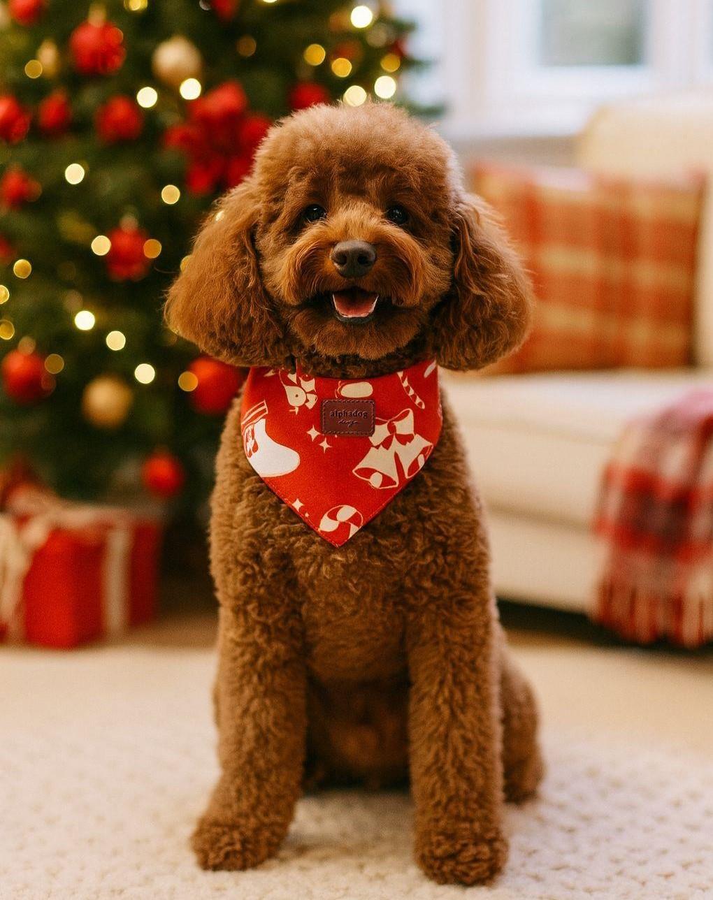 Alphadog Xmas Socks Kedi ve Köpek Bandanası