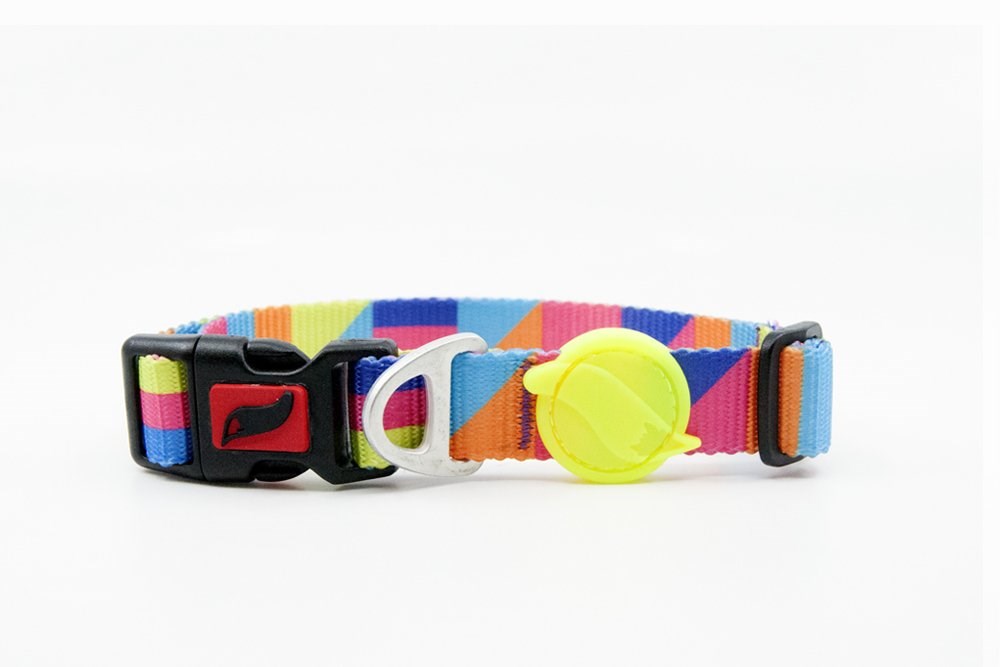 Tailpetz Spirit M Küçük-Orta Irk Köpek Boyun Tasması (Boyun 30 cm x 50 cm)