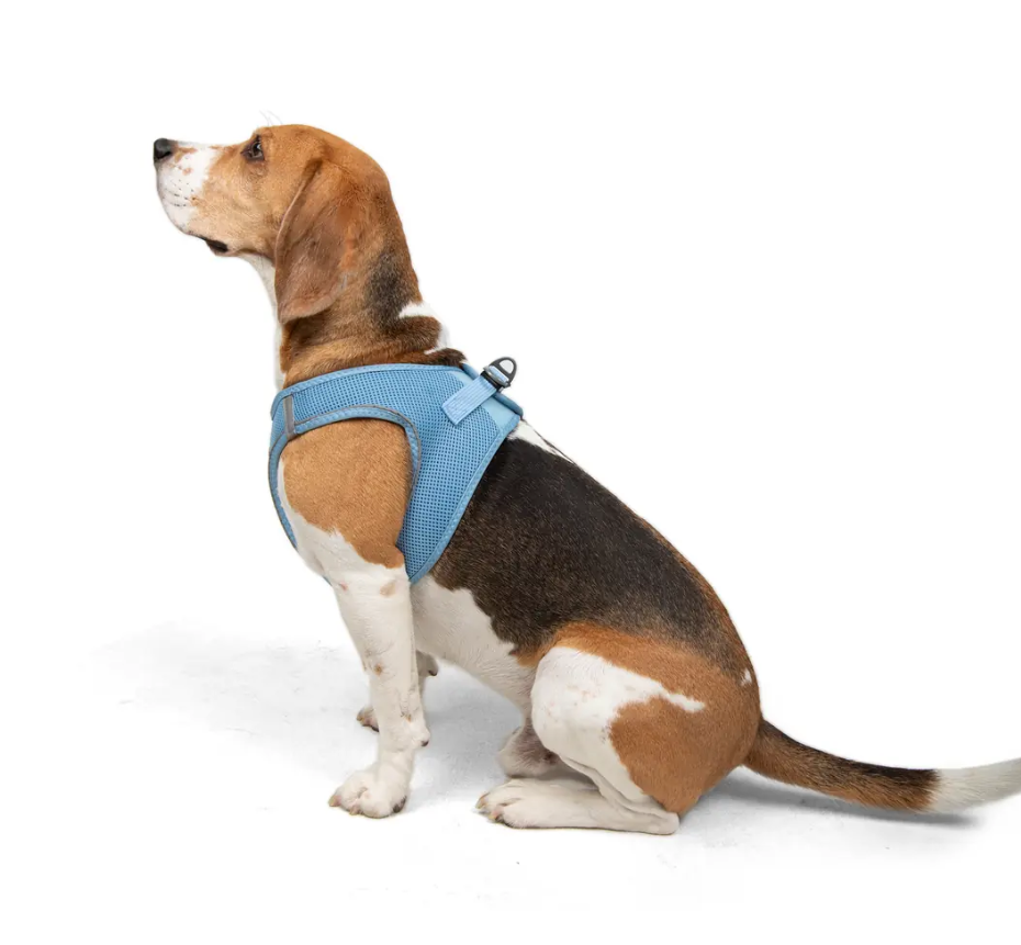 Tailpetz Air-Mesh Mavi Göğüs Tasması
