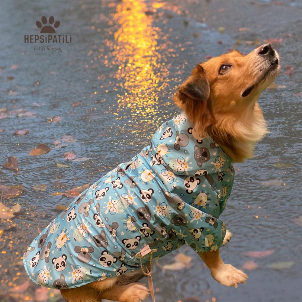 Gedyco Animals Su Geçirmez içi Fileli Büyük Irk Köpek Yağmurluğu