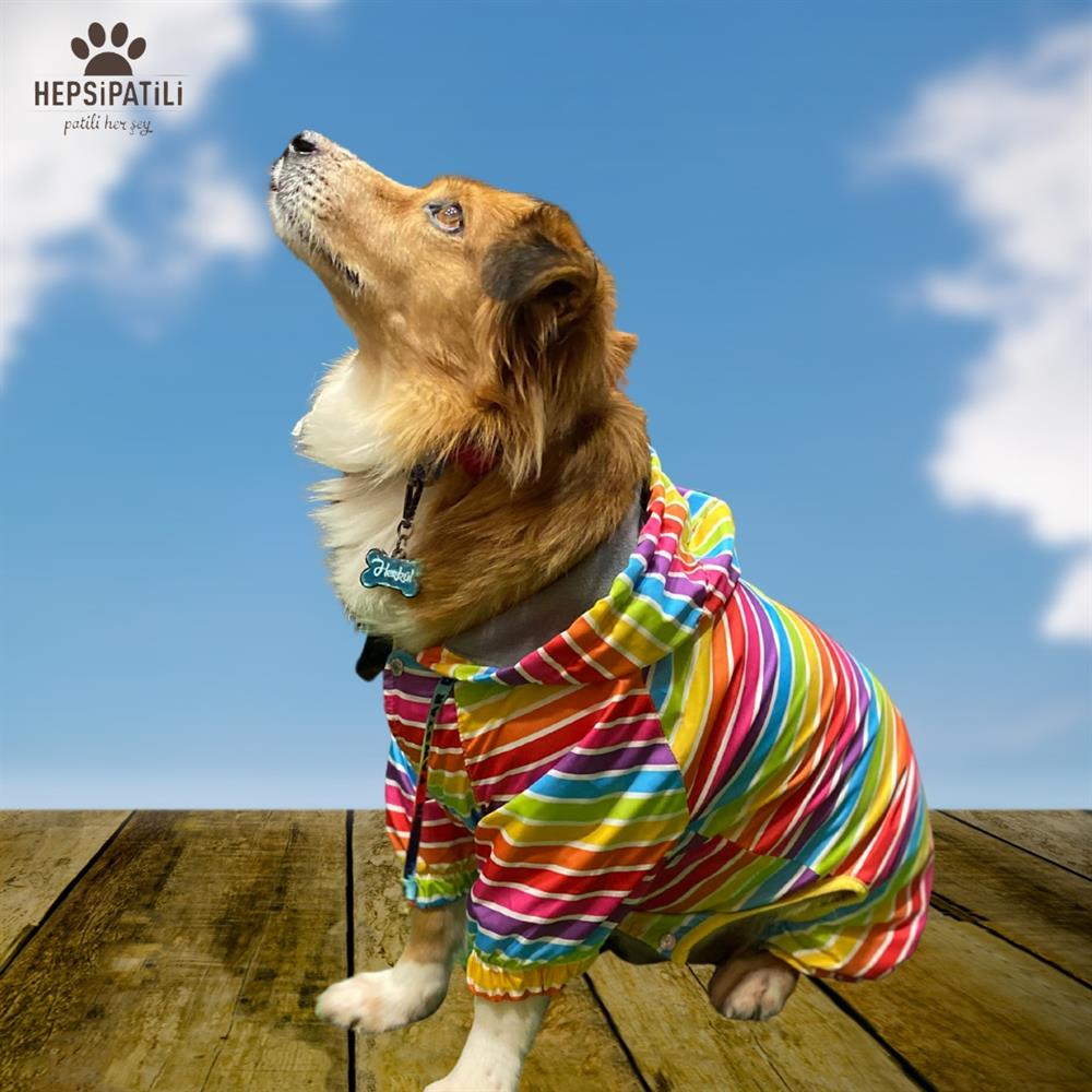 Pawstar Colorum İçi Polar Orta-Büyük Irk Köpek Yağmurluk Tulumu
