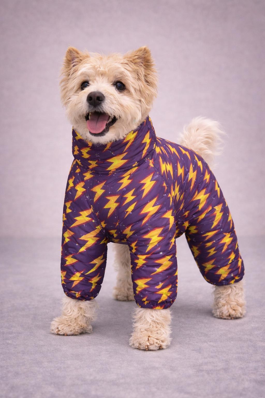 Alphadog Thunder Polarlı Küçük Irk Köpek Yağmurluk Tulumu