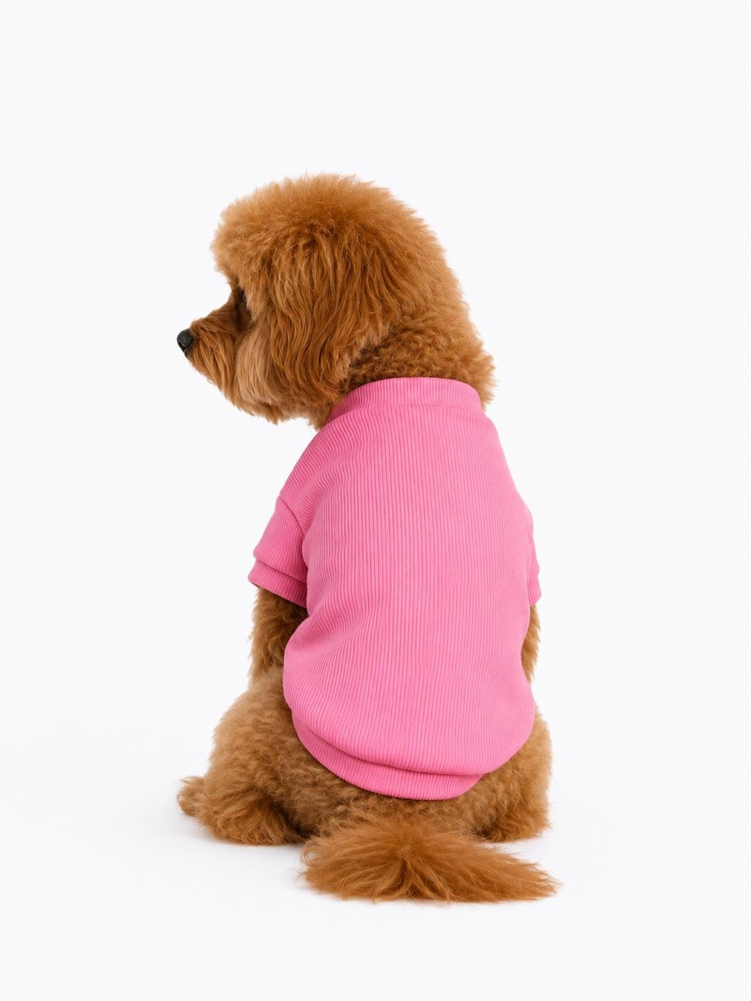Gedyco Candy Pink Küçük Irk Köpek Likralı Triko