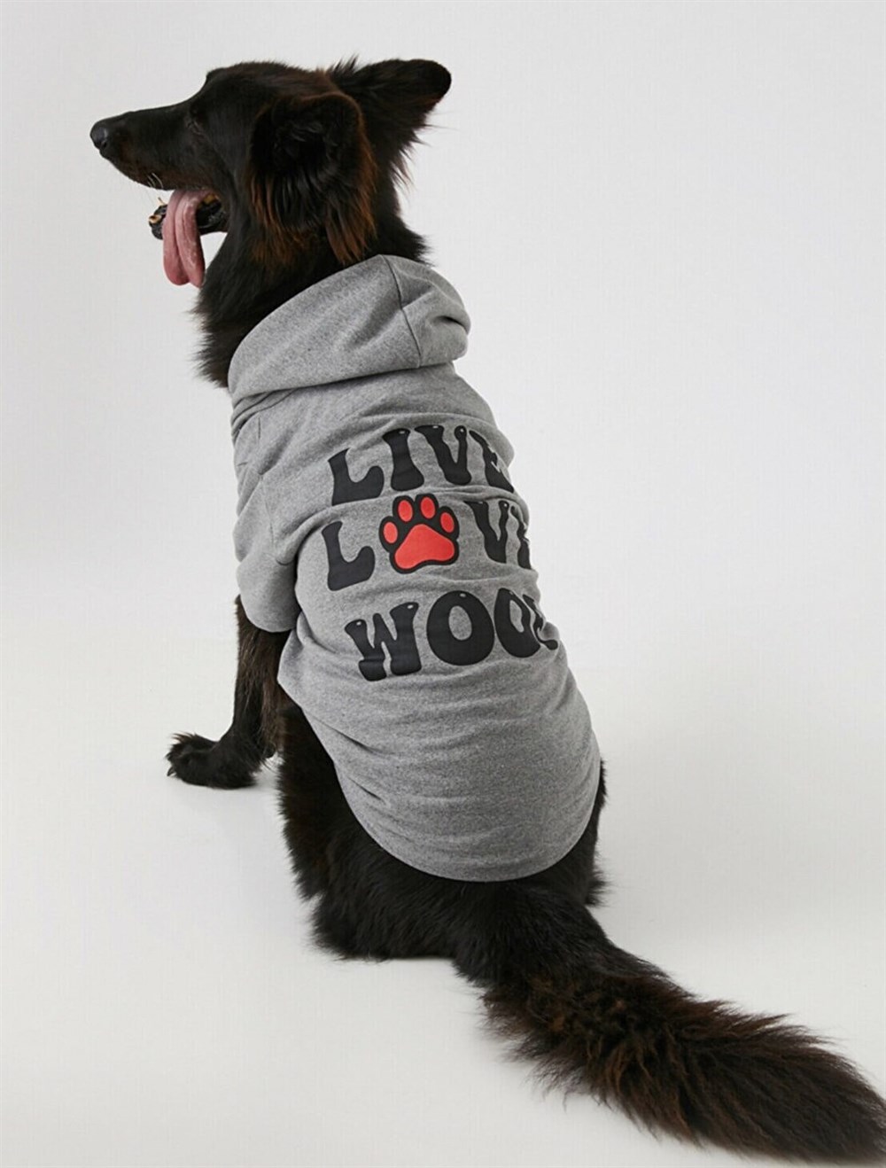Koton Live Love Woof Küçük-Orta Irk Köpek Sweatshirtü