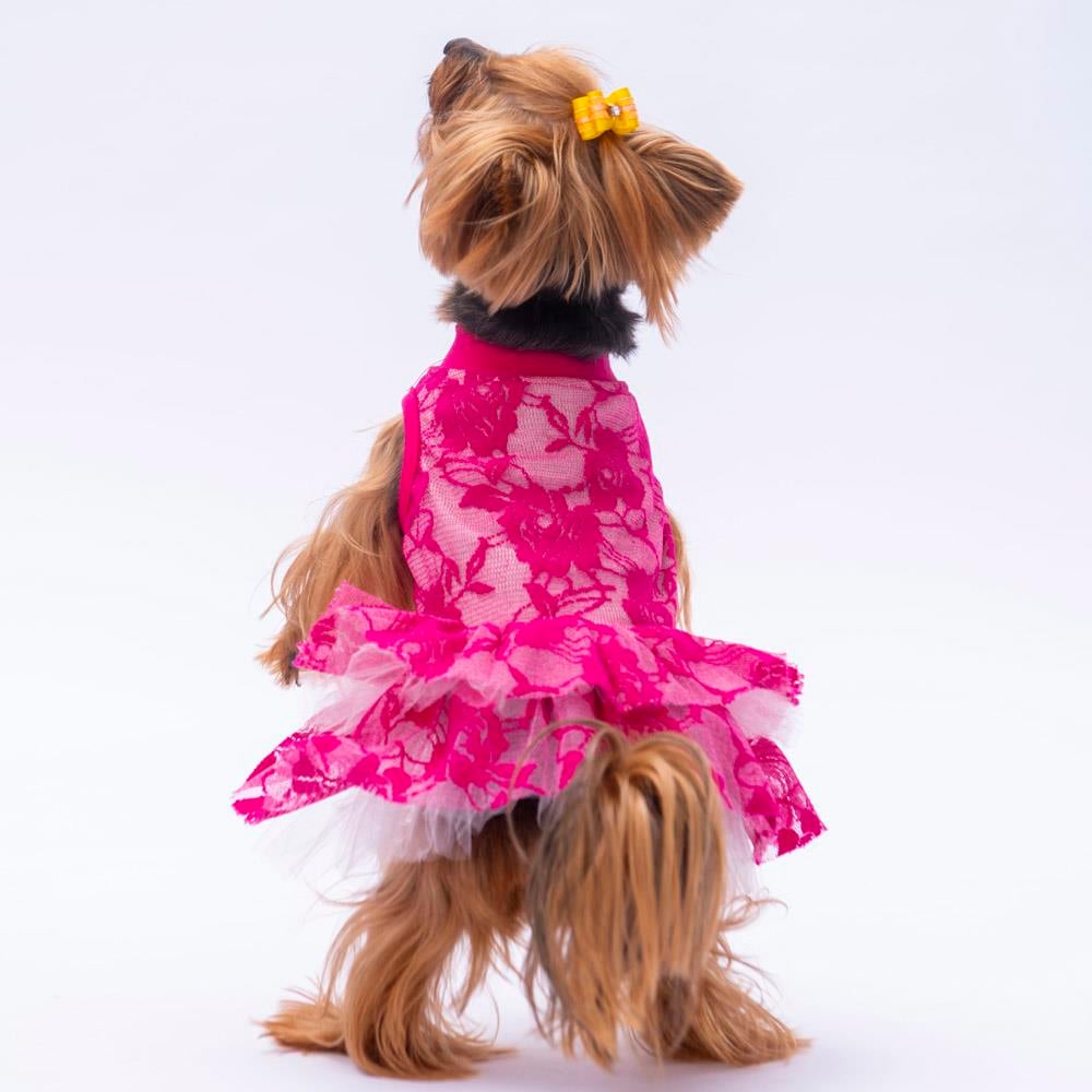 Pawstar Pink Rosa Kedi ve Küçük Irk Köpek Elbisesi