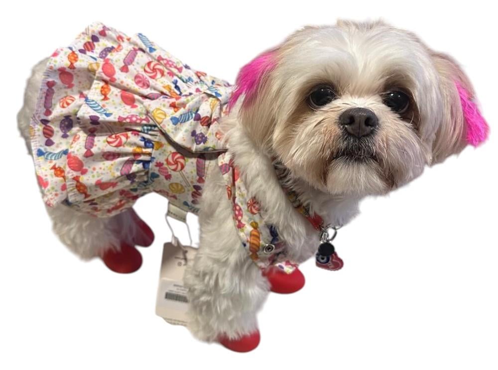 Gedyco Candy Fırfırlı Salopet Küçük Irk Köpek Elbisesi