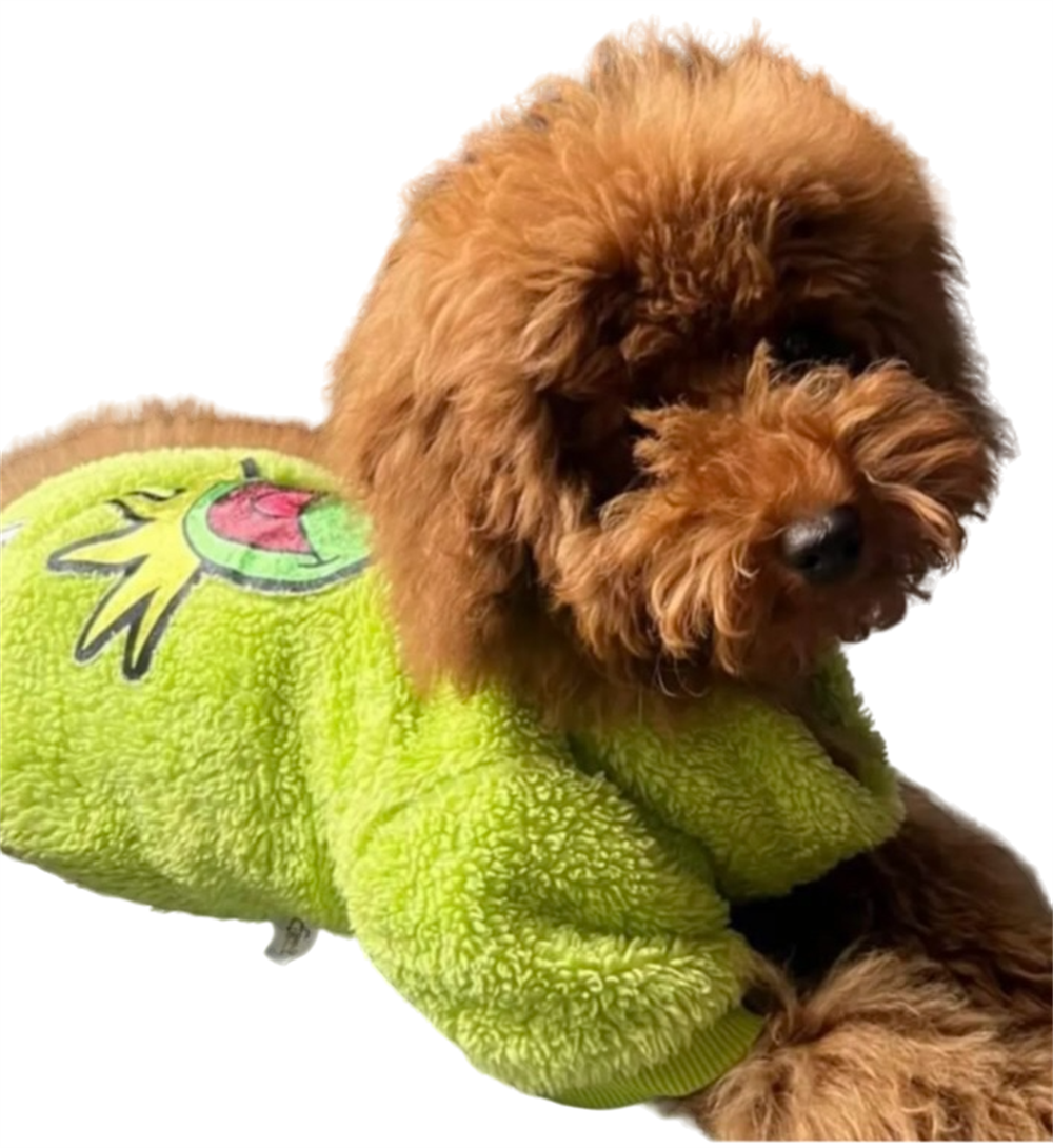 Muppets Yeşil Peluş Küçük Köpek Sweatshirtü (9 kg-11 kg arası köpeklere uygun bedenlerde)