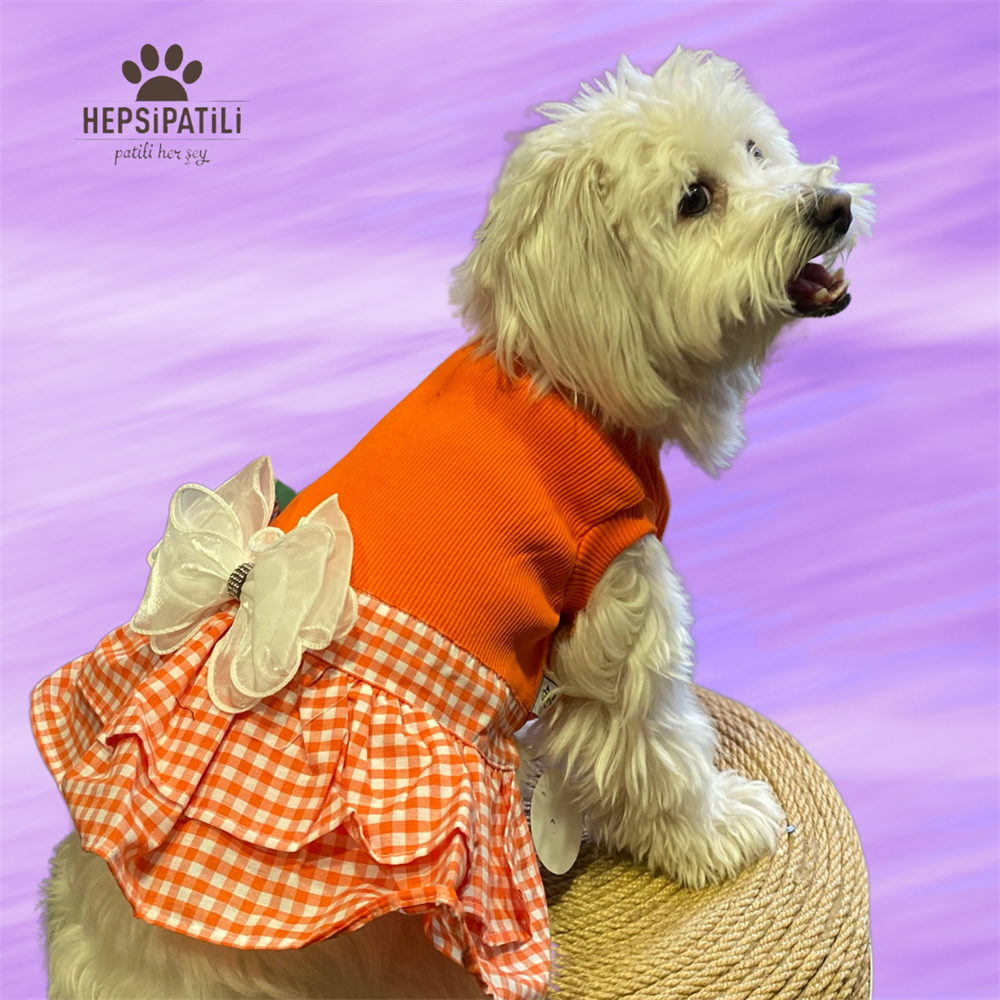 Turuncu Kareli Küçük Irk Köpek Elbisesi (1 kg-10 kg arasına uygun)