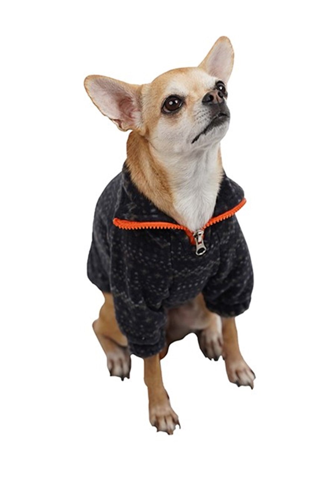 Pawstar Rug Gri Küçük Köpek Poları