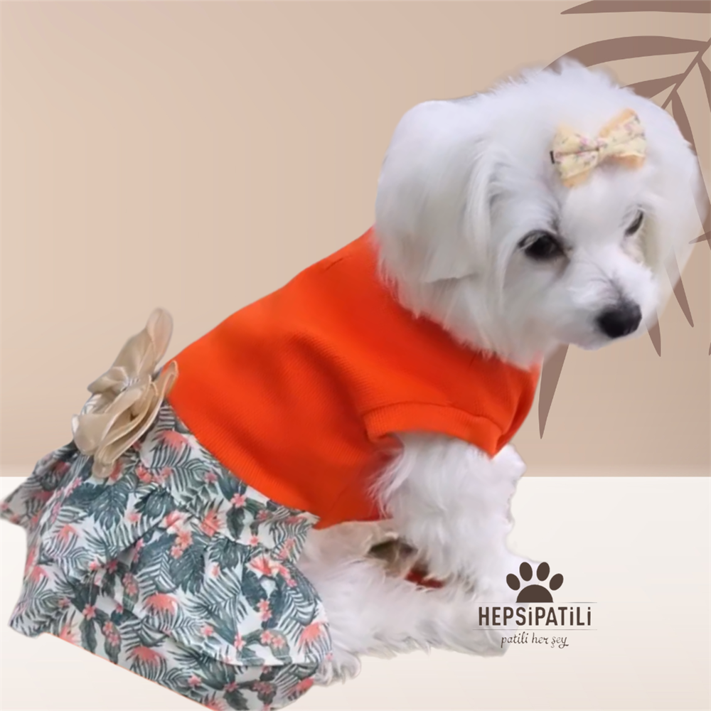 Turuncu Palmiyeli Küçük Irk Köpek Elbisesi (1 kg-10 kg arasına uygun)