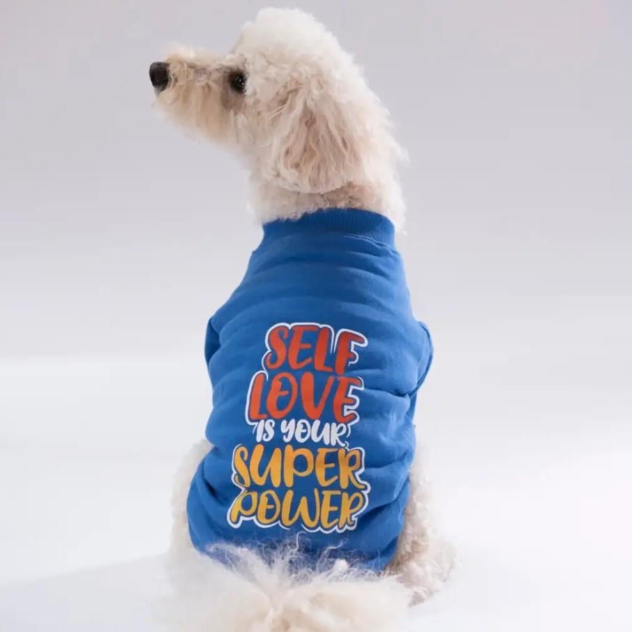 Pawstar Mavi Power Polarlı Küçük Irk Köpek Sweatshirtü