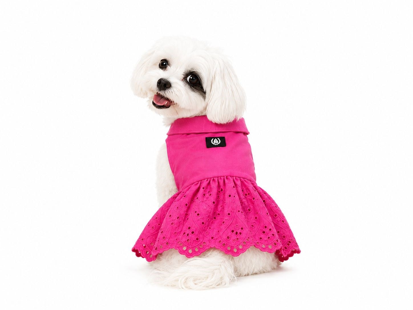 Alphadog Fisto Pink Küçük Irk Köpek Elbisesi