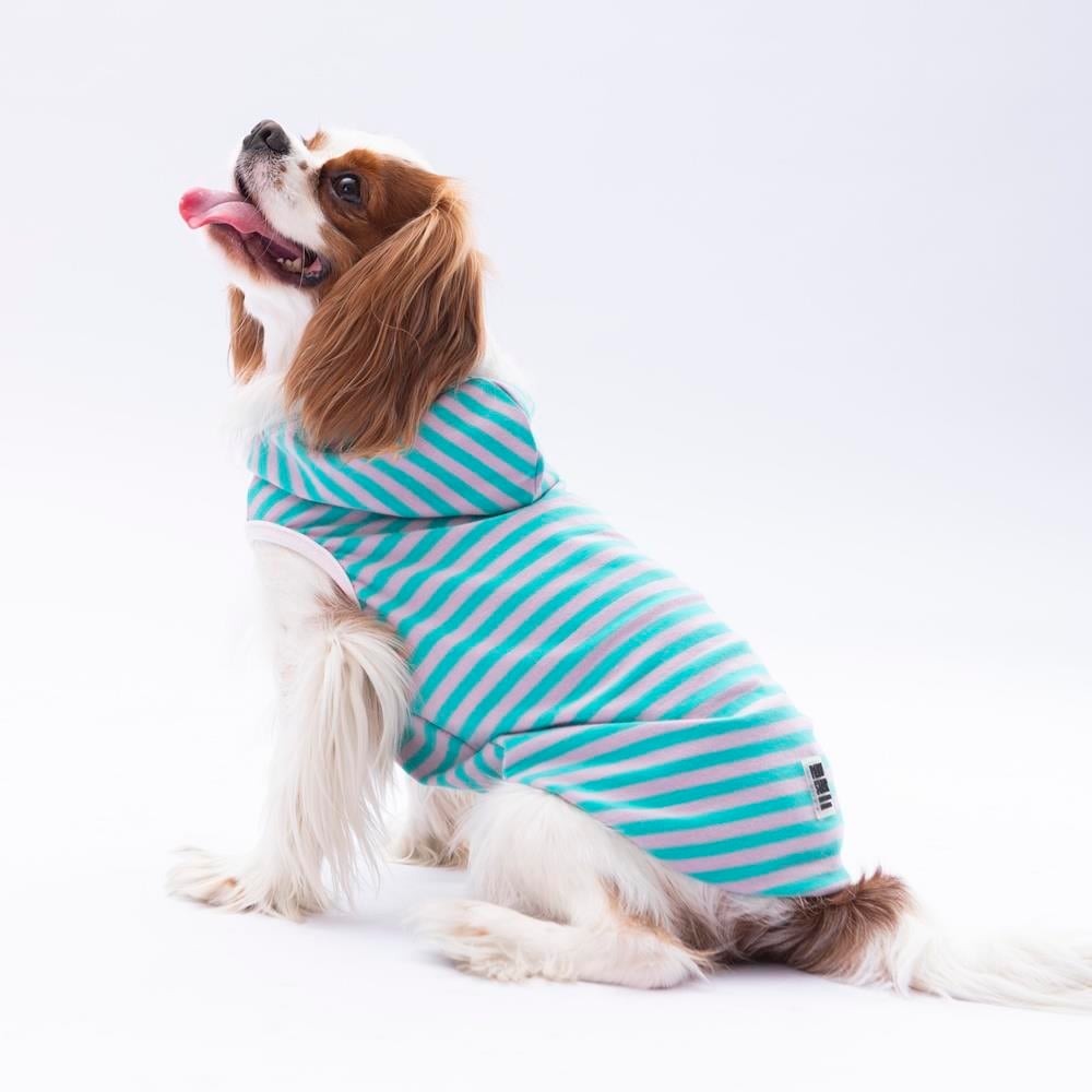 Pawstar Aqua Sunny Küçük Irk Köpek Penye T-shirtü