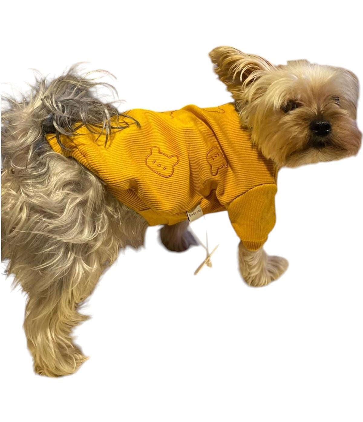 Gedyco Bear Küçük Irk Köpek Sweatshirtü Hardal