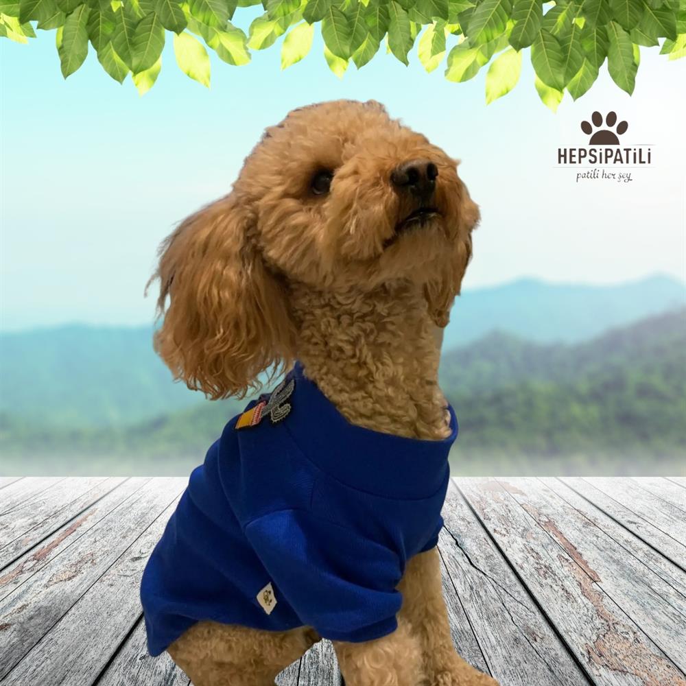 Cactus Sax Esnek Basic Kaşkorse Köpek Sweatshirtü (2 kg-13 kg arası köpeklere uygun bedenlerde)