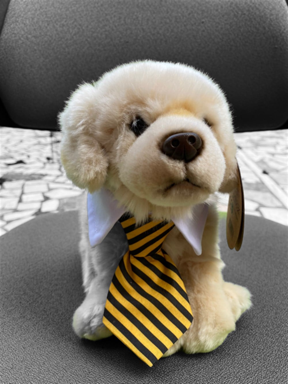 Gömlek Yakalı Kravatlı Kedi ve Köpek Tasması