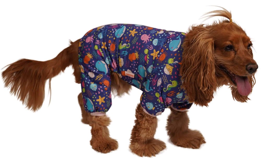 Pawstar Ocean Küçük Köpek Penye Tulum Pijama