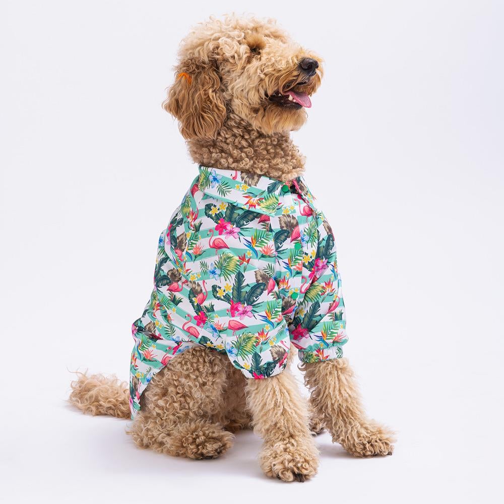 Pawstar Hawai Orta-Büyük Irk Köpek Gömleği