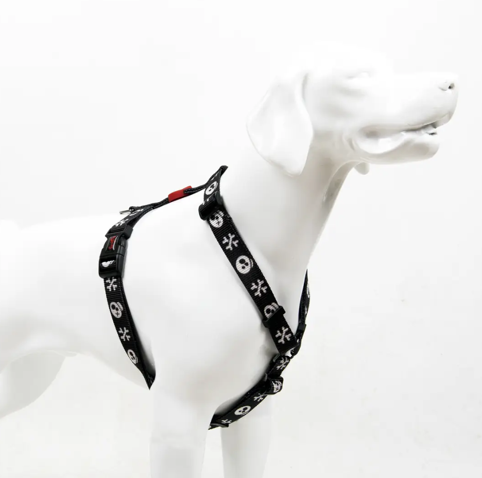 Tailpetz H-tip Boo L Orta ve Büyük Irk Köpek Göğüs Tasması (Göğüs 62 cm x 107 cm)
