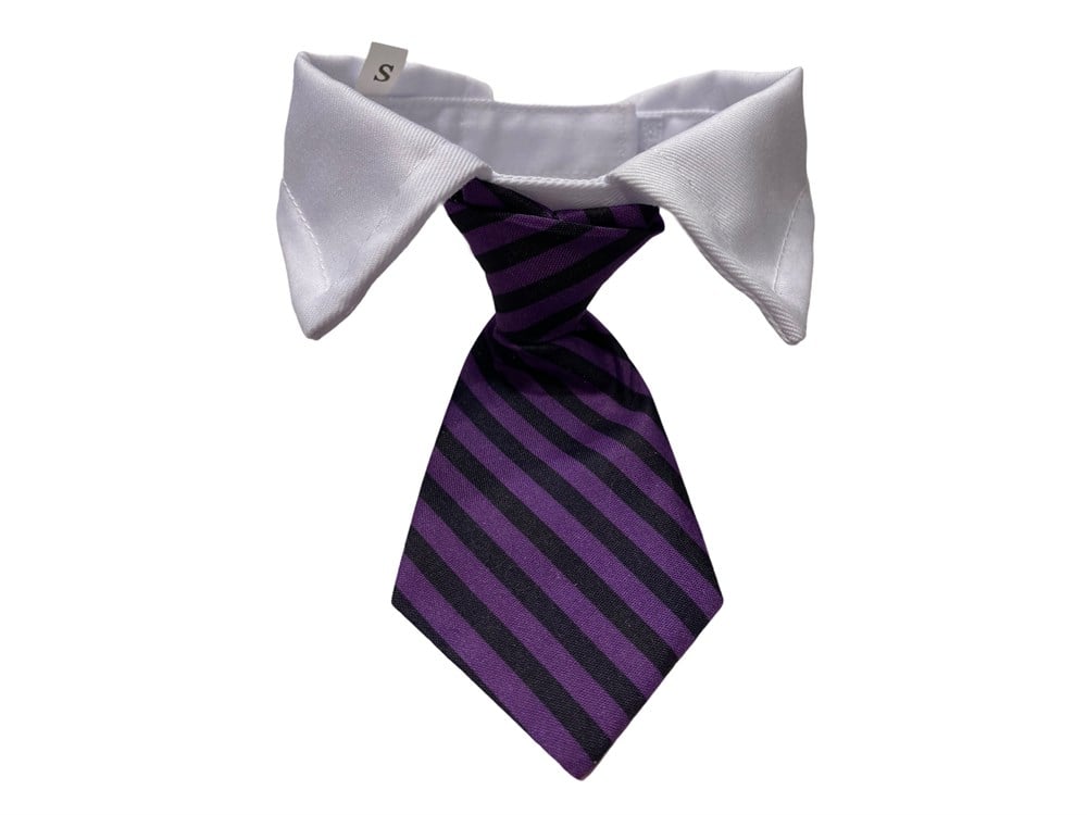 Gömlek Yakalı Kravatlı Kedi ve Köpek Tasması Mor