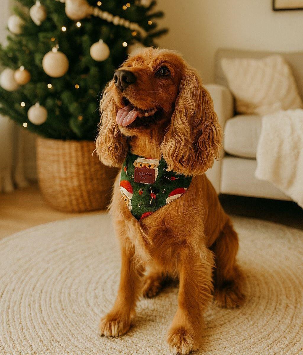 Alphadog Santa Kedi ve Köpek Bandanası
