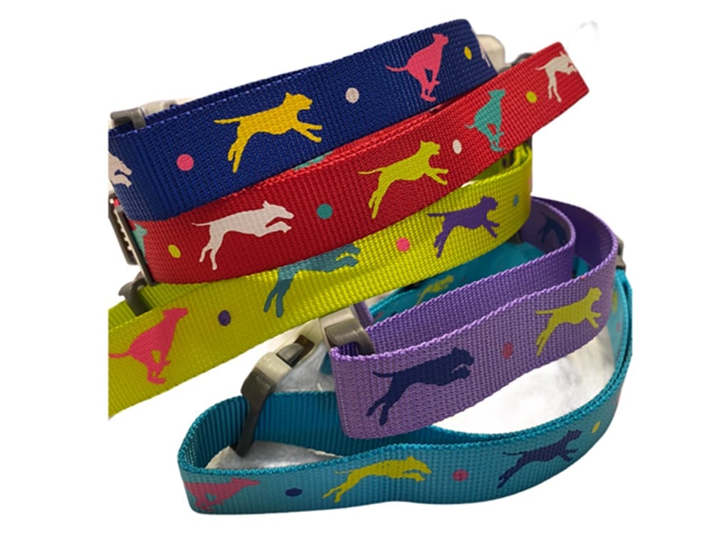 Leaping Dog Premium Boyun Tasması 2,5 cm x 40-65 cm