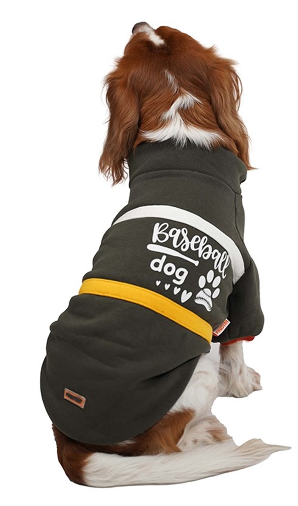 Pawstar İçi Polar Haki Baseball Küçük Irk Köpek Kışlık Sweatshirt