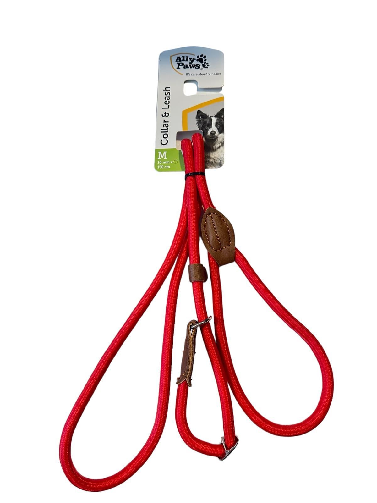 Ally Paws Boyun ve Gezdirme Tasması Kırmızı M 1 cm x 150 cm