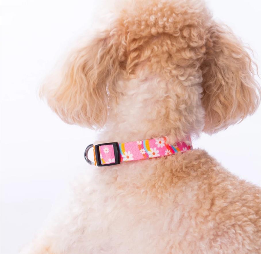 Pawstar Daisy Boyun Tasması M (Boyun çevresi: 32 cm x 48 cm)