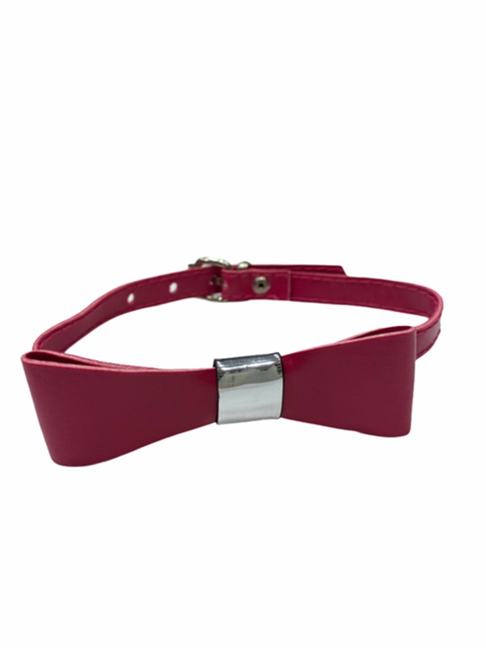 Pembe Fiyonklu Kedi ve Küçük Köpek Boyun Tasması