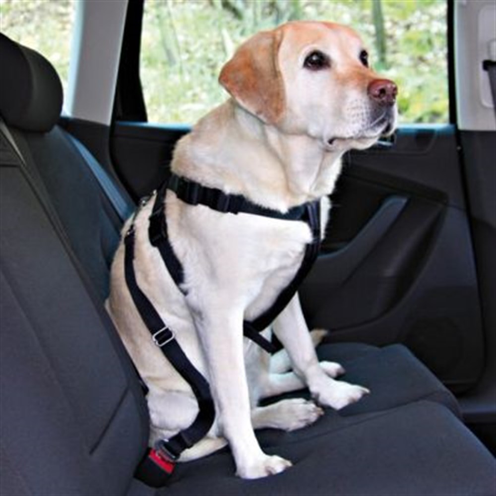 Trixie Köpek Emniyet Kemeri L 70-90 Cm