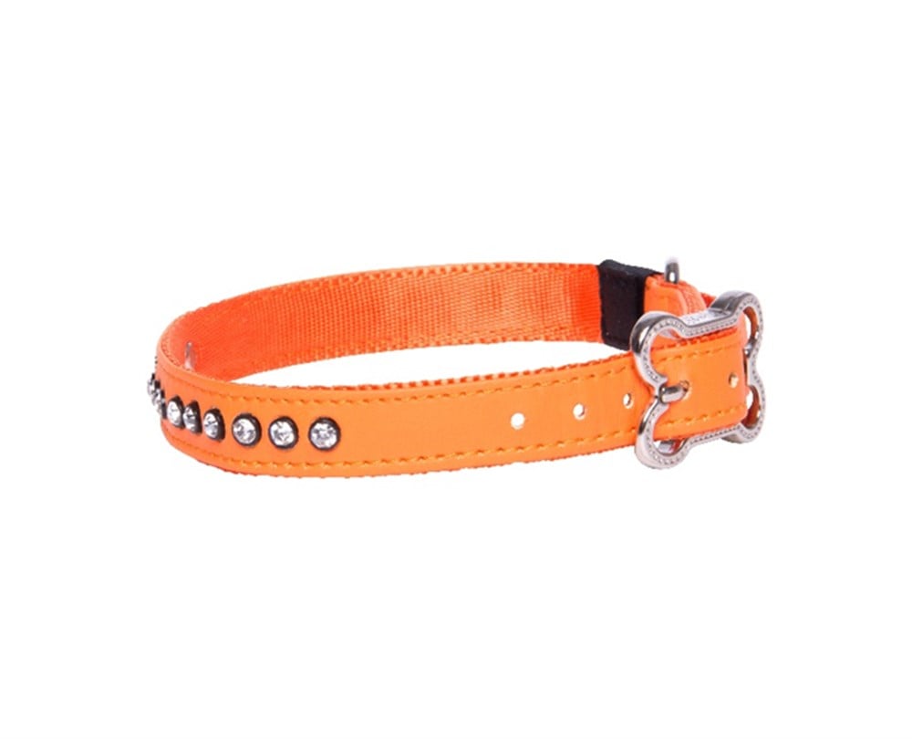 Rogz Luna Turuncu Deri Boyun Tasması M 28 - 36 cm