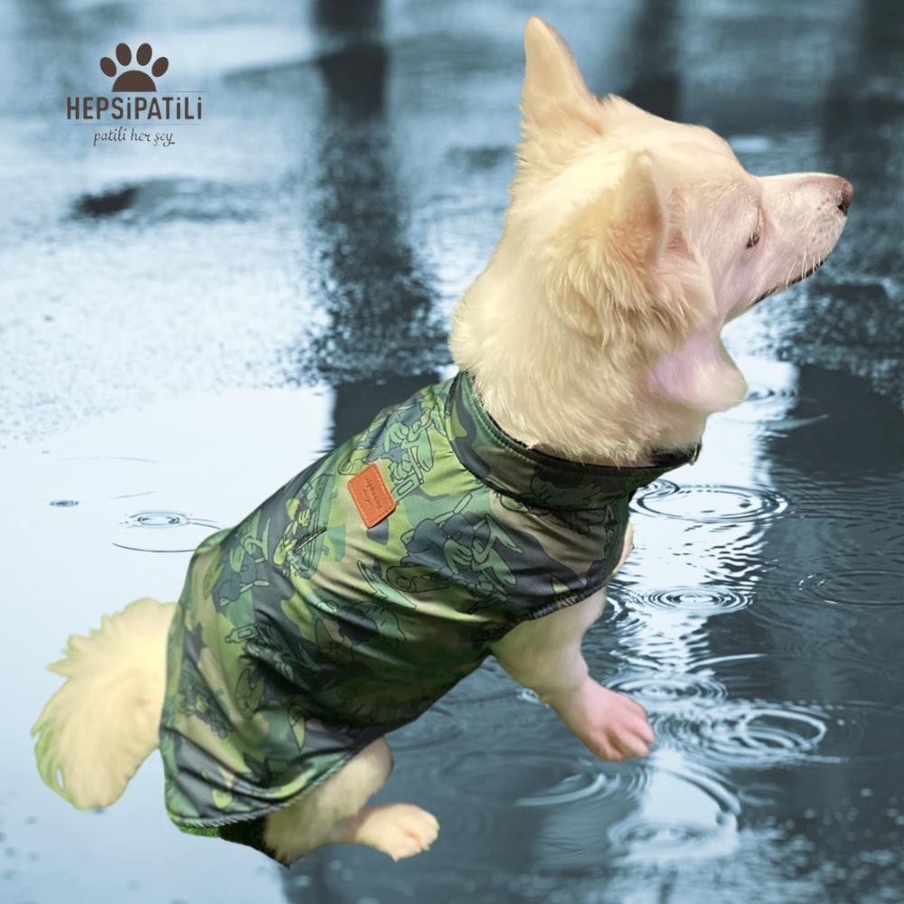 Alphadog Birdy Vest Küçük Irk Köpek Yağmurluğu