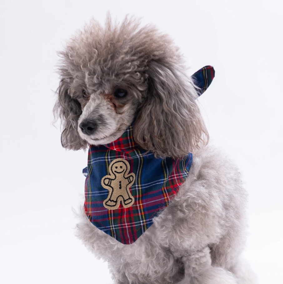 Pawstar Cookie Jingle Kedi ve Köpek Bandanası