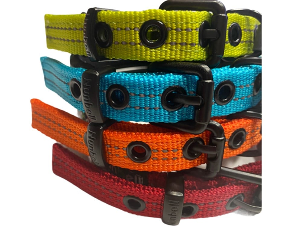 İçi Köpük Destekli Şık Premium Boyun Tasması 1,5 cm x 25-33 cm