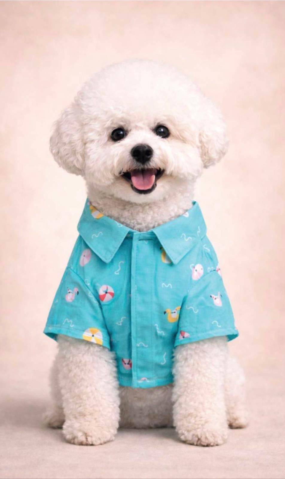 Alphadog Pool Küçük Irk Köpek Gömleği