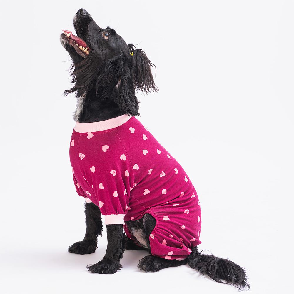 Pawstar Küçük Irk Köpek Minik Kalpler Penye Tulum Pijama