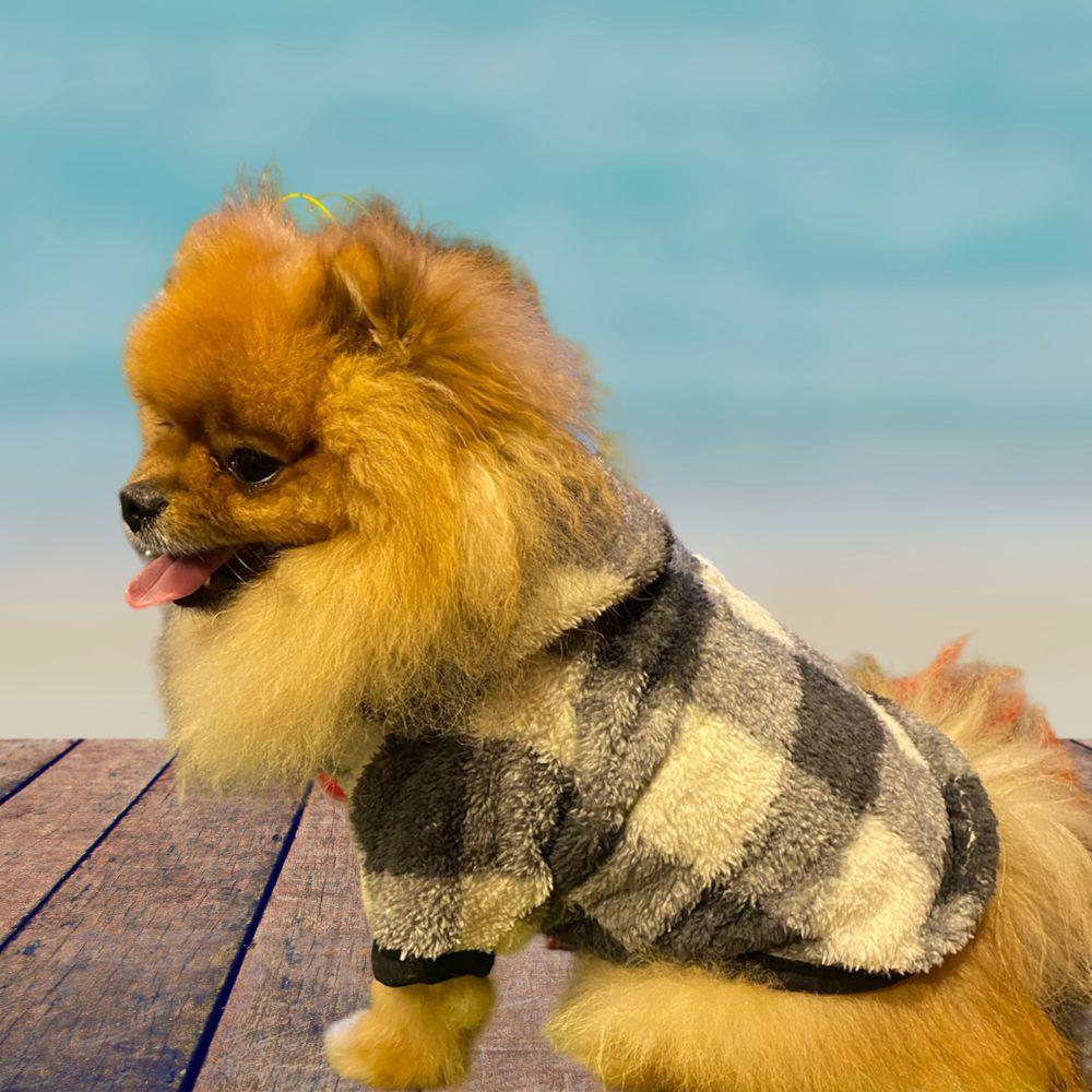 Alphadog London Grey Küçük Irk Köpek Pofuduk Kaban