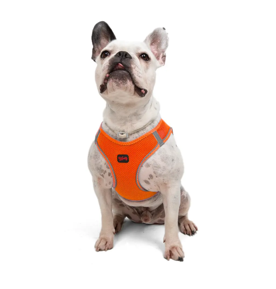 Tailpetz Air-Mesh Neon Turuncu Göğüs Tasması